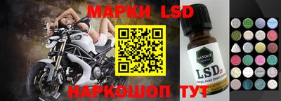 молекула духа Кандалакша